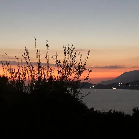 Saga * Kaş