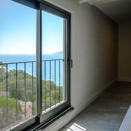 Saga Kaş