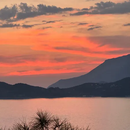 Saga Kaş