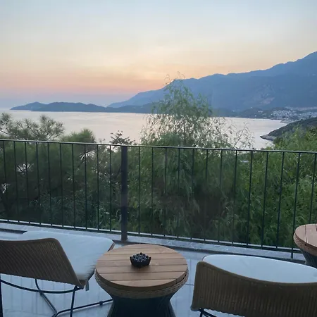 Nyaraló Saga *